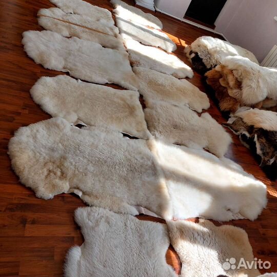 Шкурки овечьи оптом