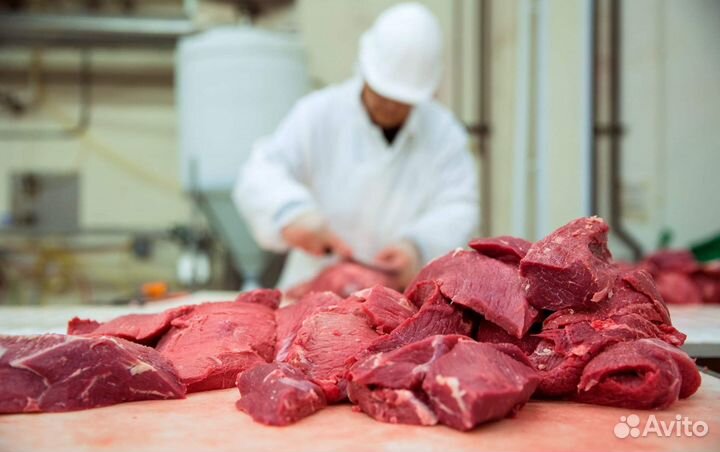 Разнорабочие на мясокомбинат в Воронеж.Вахта