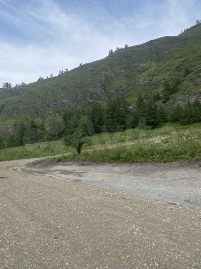 Участок 10 сот. (СНТ, ДНП)