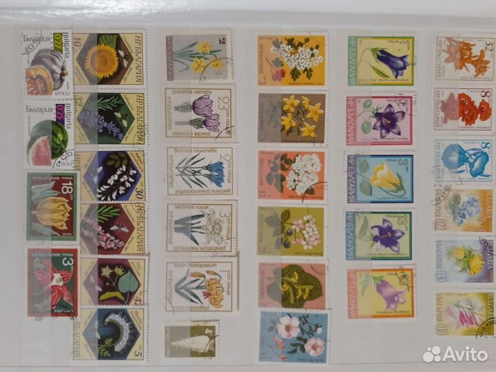 Почтовые марки разных стран