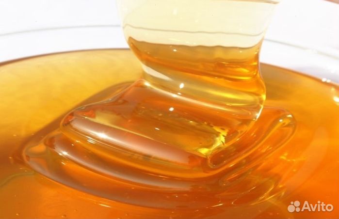 Мёд натуральный алтайский опт. от 16 кг