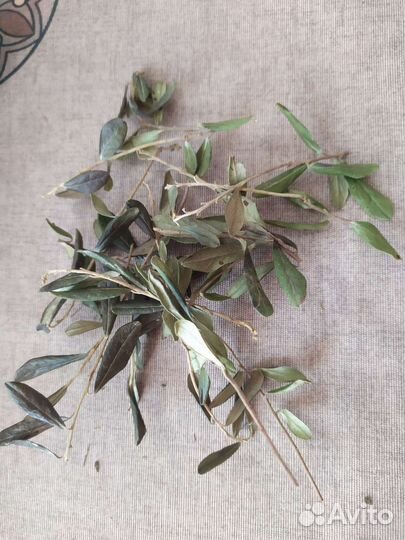 Пижма и брусничный лист (сушеные)