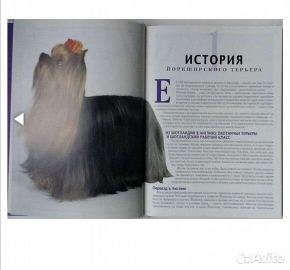 Книга йоркширский терьер