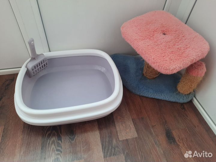 Лоток новый и когтеточка