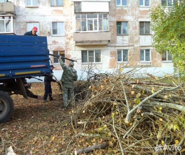 Очистка дачных участков