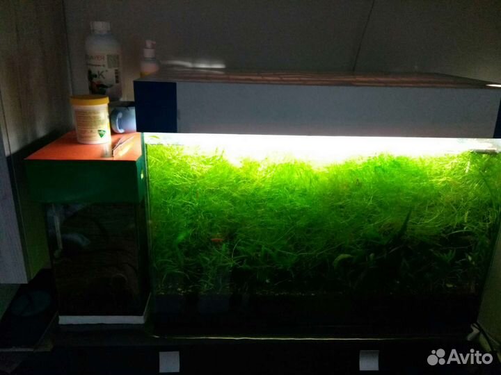 Аквариум с оборудованием