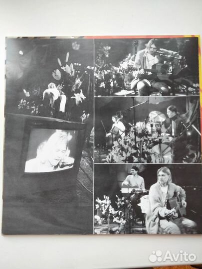 LP nirvana