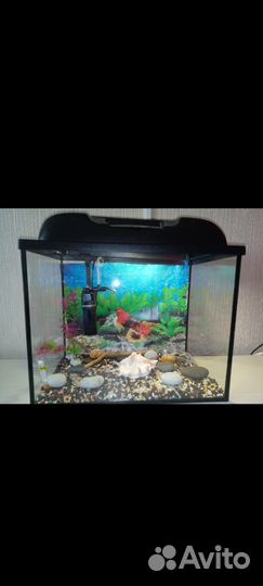 Аквариум