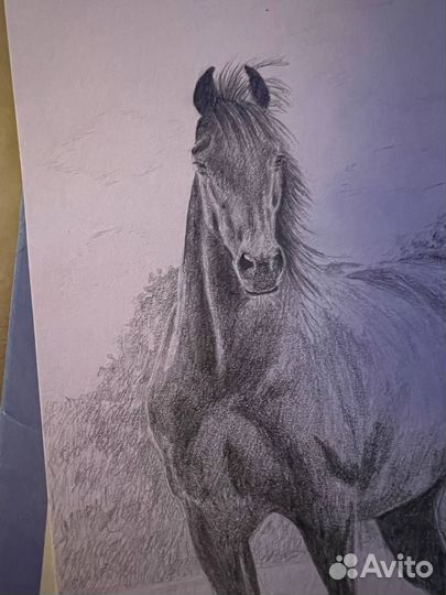 Рисунки на заказ по фото