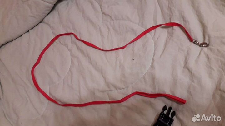 Шлейки и поводок