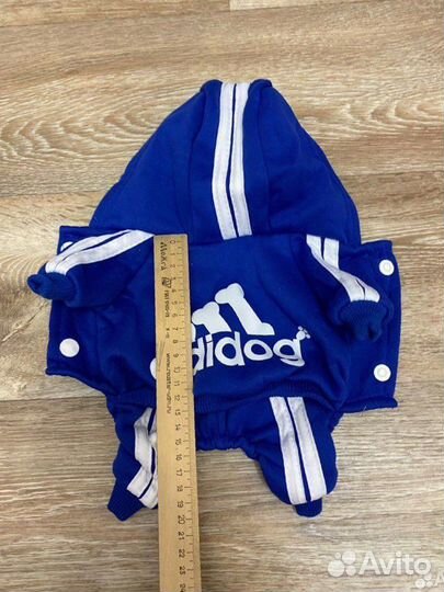 Одежда для собак мелких пород