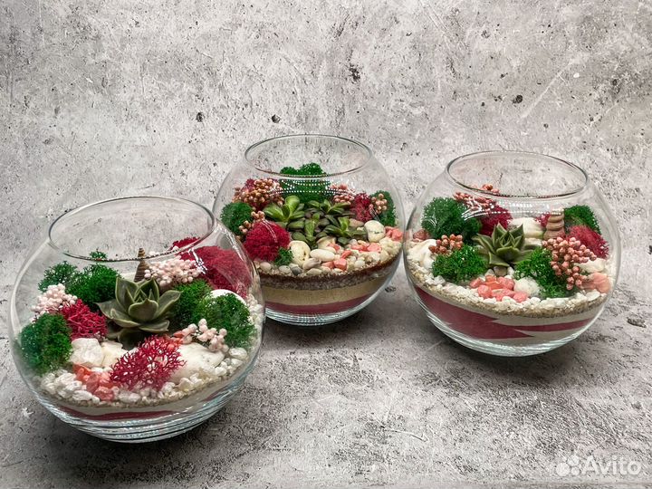 Флорариум. Подарок