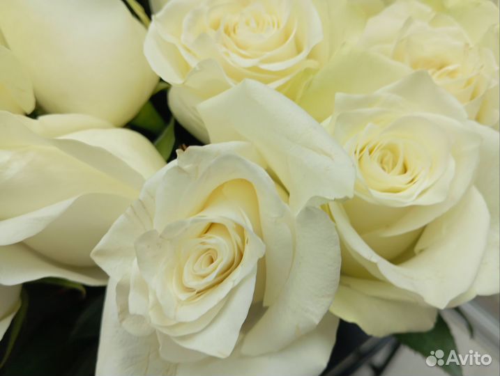 Цветы на 8 марта