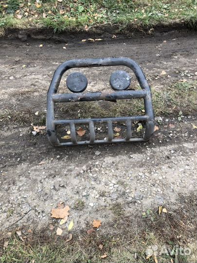 Кингурятник