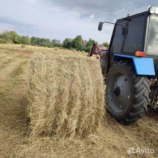Сено в рулонах