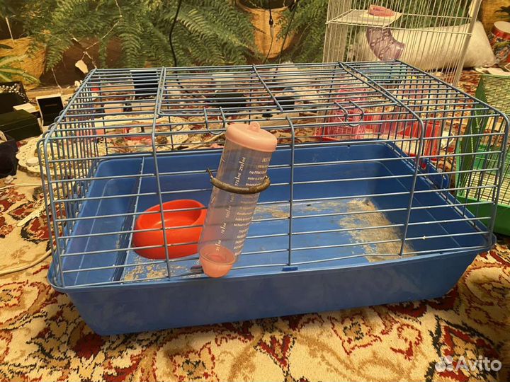 Клетка для кролика