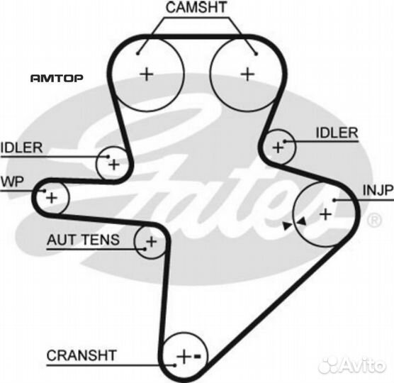 Gates 5586XS Ремень грм gates 5586XS
