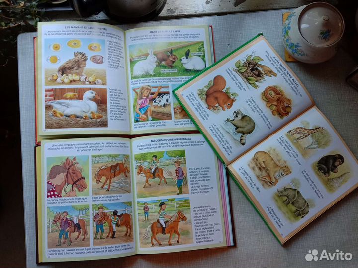 Книги для детей на французском