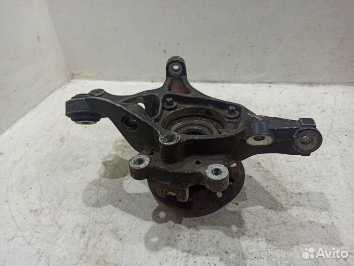 Кулак задний левый