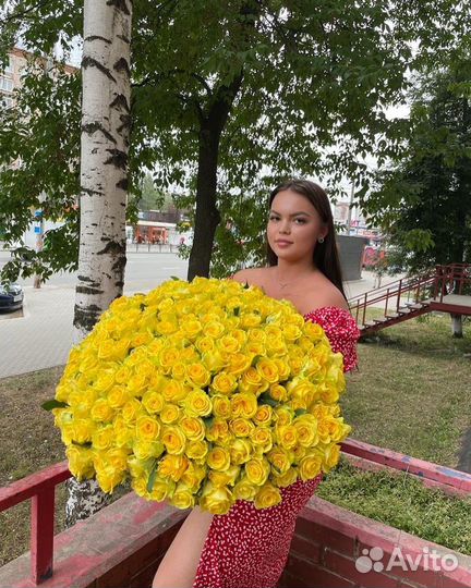 Розы 201 роза