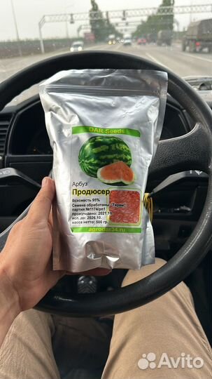 Семена арбуза Каристан Продюсер Топ Ган