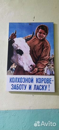 Забой скота