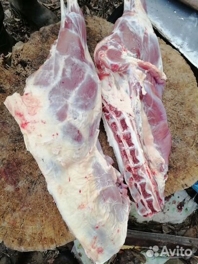 Свое мясо баранины и козлятины халяль и жир