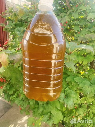 Масло подсолнечное холодного отжима