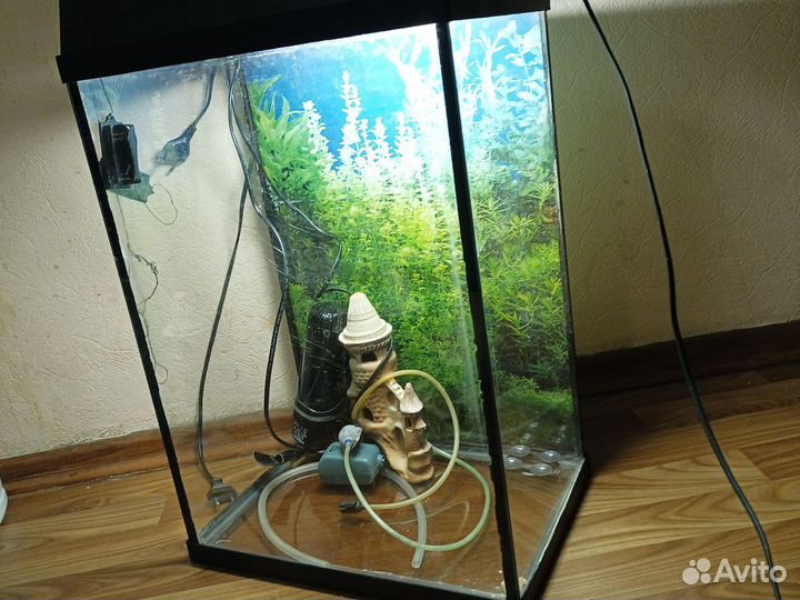 Аквариум