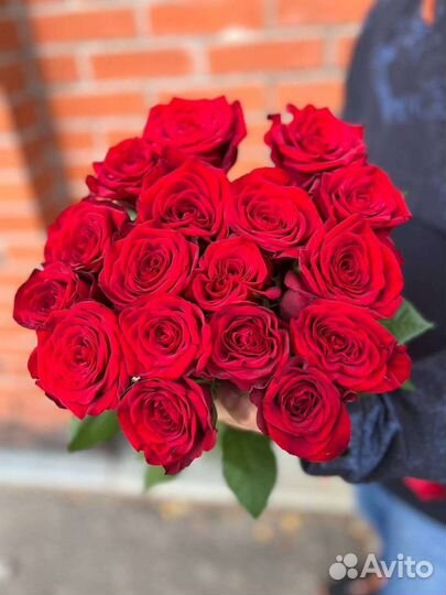 Голландская Свежая роза 15 шт