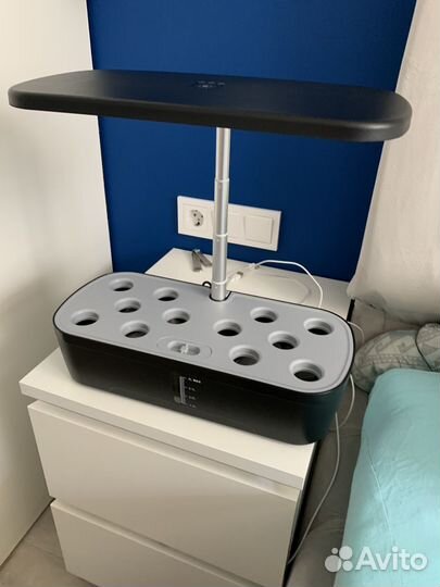 Умный сад с LED фитолампой