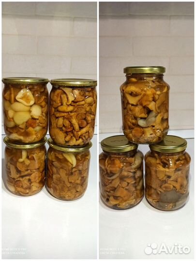 Маринованные грибы