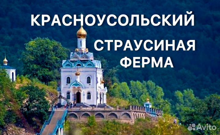 Автобусные туры в Красноусольский из Уфы