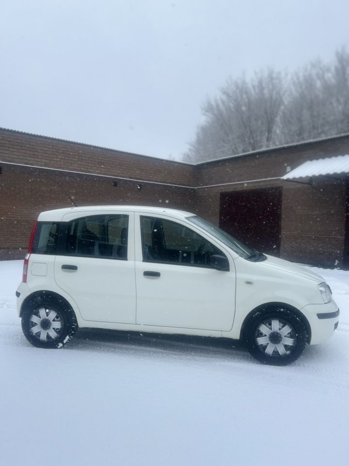 FIAT Panda: фото владельца