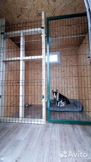 Зоогостиница, передержка, зоотакси