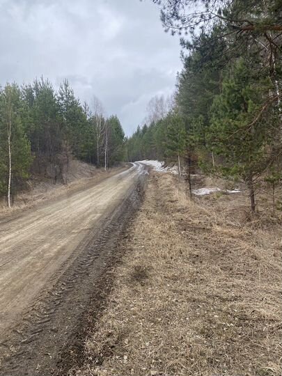 Участок 15 сот. (ИЖС)