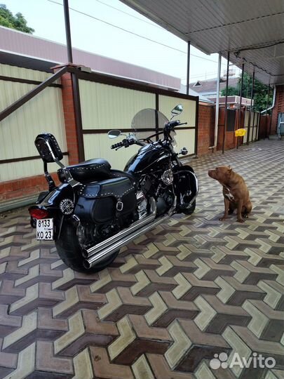 Yamaha XVS1100 V-star Drag Star