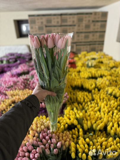 Тюльпаны на 8марта