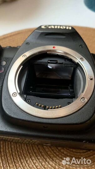 Canon EOS 5D Mark II