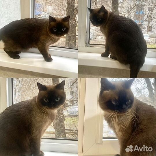 Тайская