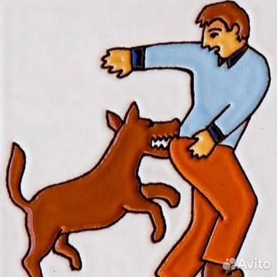 Дрессировка и воспитание собак, кинолог