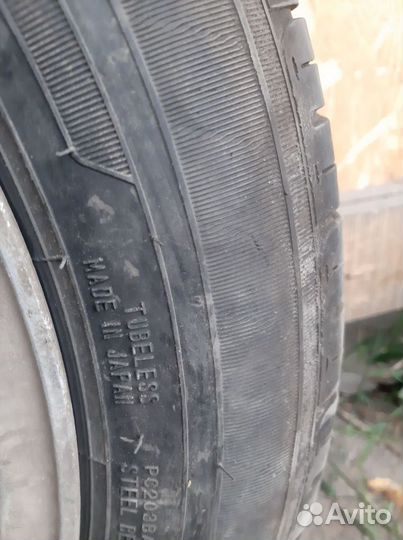 Dunlop All Season Maxx AS1 175/65 R15