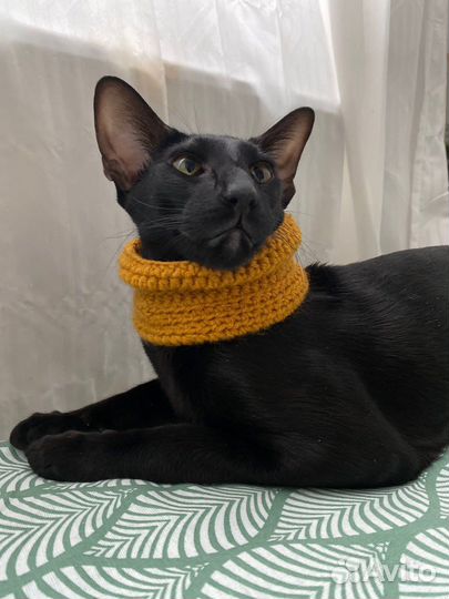 Шарфик/снуд для кота