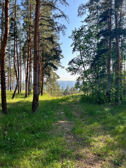 Участок 24 сот. (ИЖС)