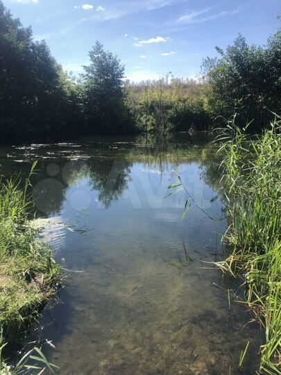 Дом 46 м² на участке 65 сот.