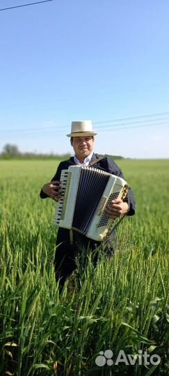 Аккордеонист баянист гармонист на праздники