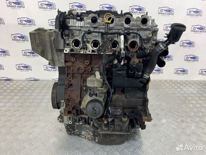 Разбор Фрилендер