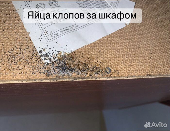 Обработка от клопов,уничтожение тараканов,травля