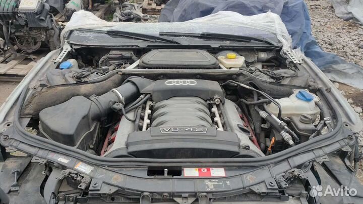Двигатель BFM Audi A8 D3 Quattro V-4.2