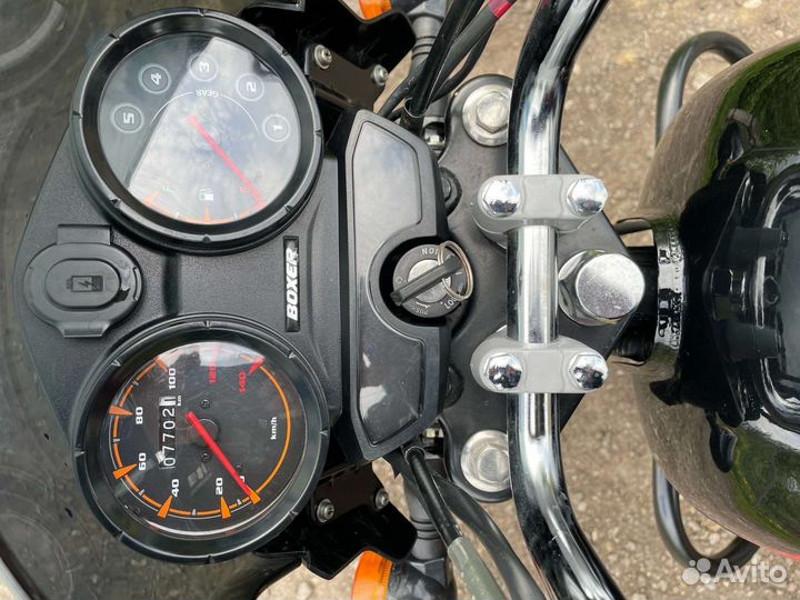 Баджаж боксер